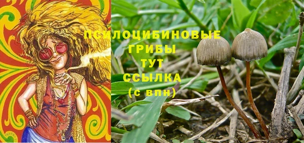 PSILOCYBIN Алексин