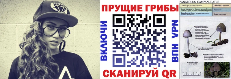 blacksprut вход Десногорск Галлюциногенные грибы мухоморы где продают