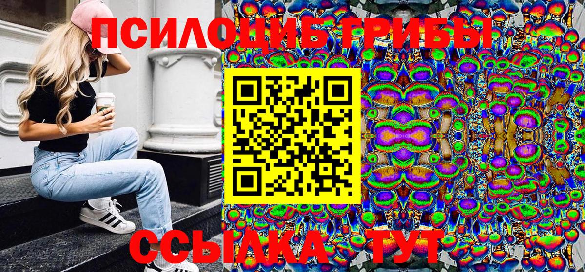 Псилоцибиновые грибы Psilocybine cubensis  Вход с VPN  Десногорск 